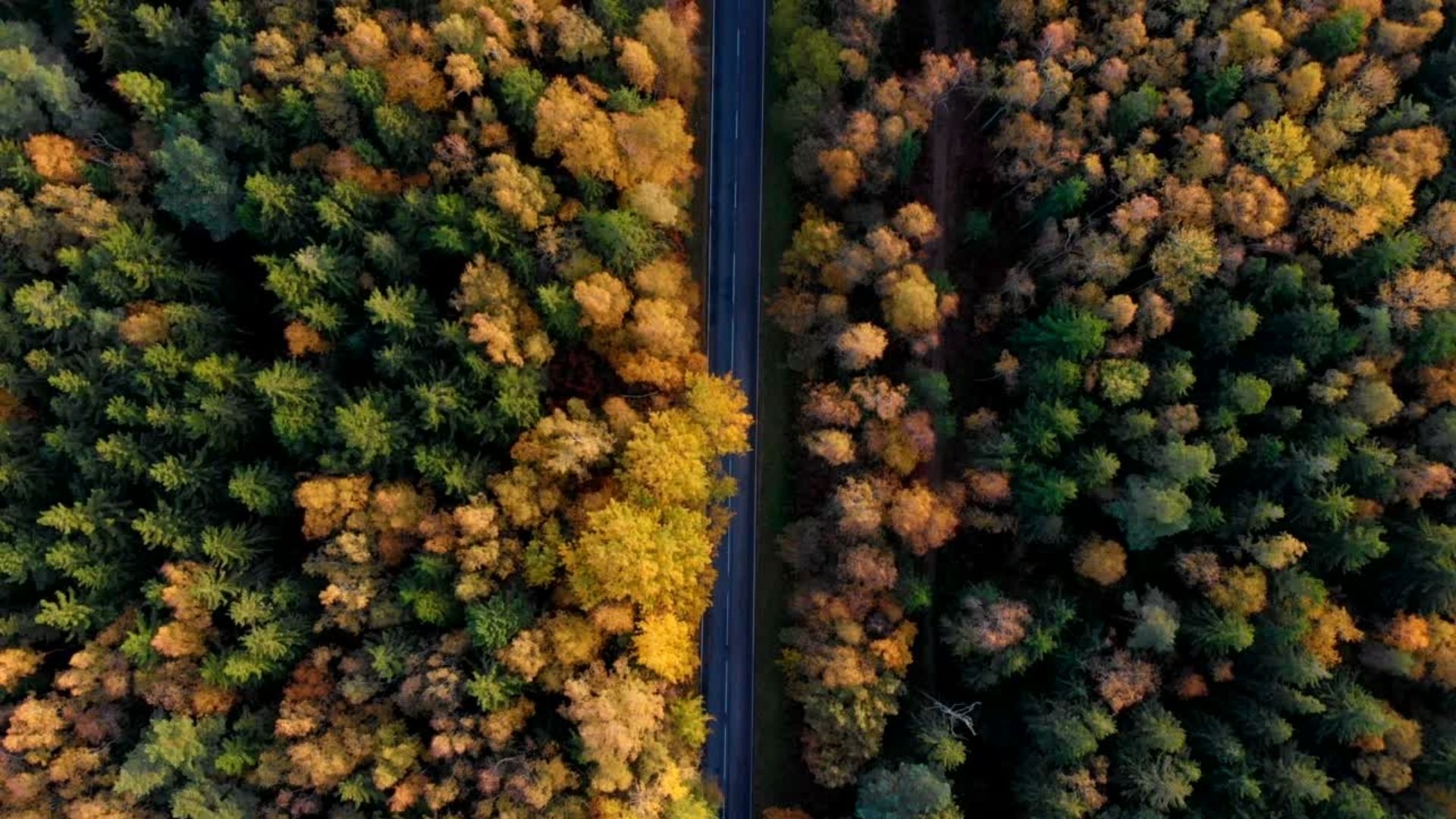 Slide - 2023 10 Fall auto